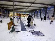 Das Förderband ist perfekt für Anfänger