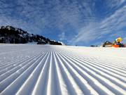Perfekte Pistenpräparierung im Skigebiet Wildhaus