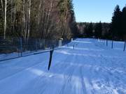 Geissleinpark (Seillift) - Seillift/Babylift mit niederer Seilführung