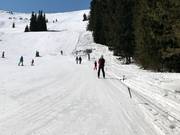 Separat betriebener Seillift A bei Aleko (nicht im Skipass enthalten)