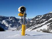 Leistungsstarke Beschneiung