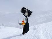 Beschneiung in Brighton