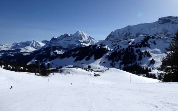 Skifahren in Lenk-Simmental