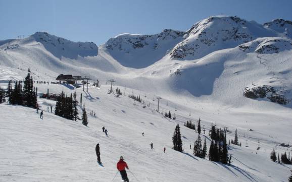 Bestes Skigebiet in Nordamerika – Testbericht Whistler Blackcomb