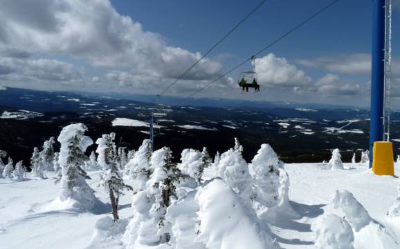 Skifahren in den Kootenay Rockies