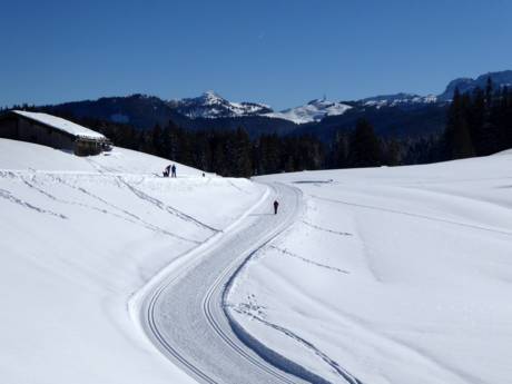 Langlauf Deutschland – Langlauf Steinplatte/Winklmoosalm – Waidring/Reit im Winkl