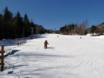 Skigebiete für Anfänger in den Appalachen – Anfänger Whiteface – Lake Placid