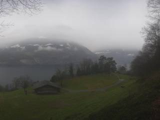 Rütli Mccardell GmbH