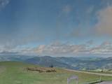 Belchen panorama