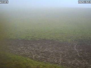 Wildewiese/Sorpelift/Flutlichthang