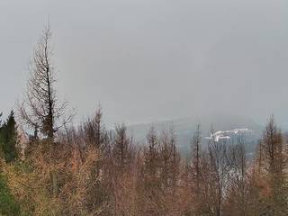 Jaworzyna Krynicka-ski