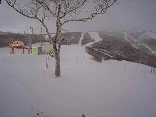 Grand Hirafu/Ace Hill Annapuri Side