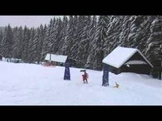 Video Kocianka