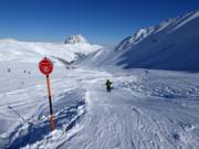 Kogel-Mogel Wellenbahn