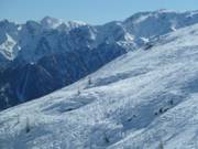 Freerideareal am Thurntaler