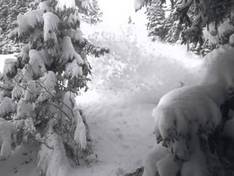 Video Laax/Flims/Falera