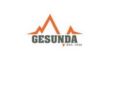 Video Gesundaberget