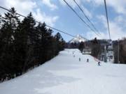Waldabfahrten dominieren in Furano