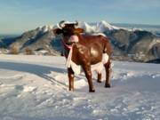 Das Wahrzeichen der Almenwelt Lofer