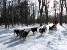 Video Mont-Sainte-Anne