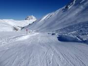 Kogel-Mogel Wellenbahn