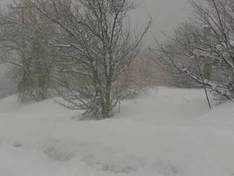 Video 3-5 Pigadia – Naoussa