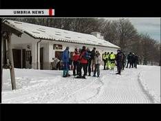 Video Forca Canapine